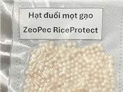 Sinh viên Bách khoa TPHCM chế tạo hạt chống mọt gạo